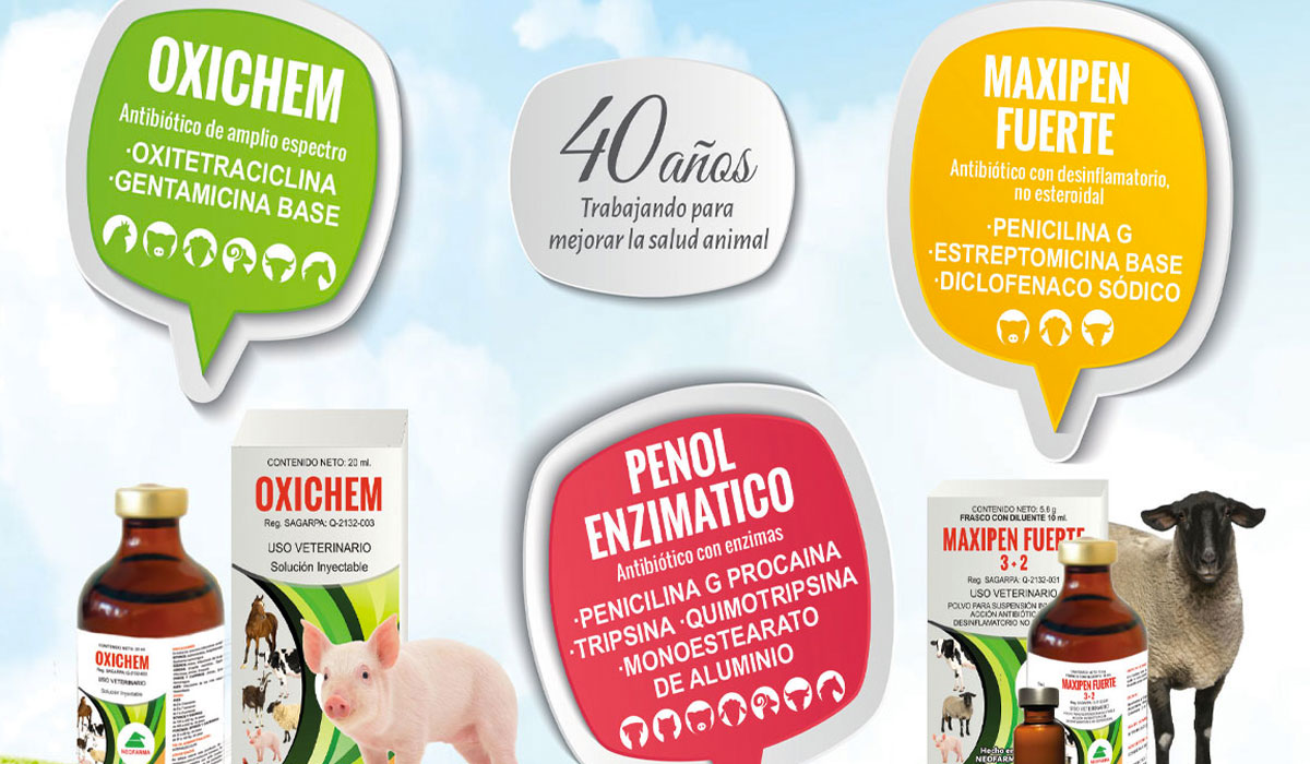 Productos